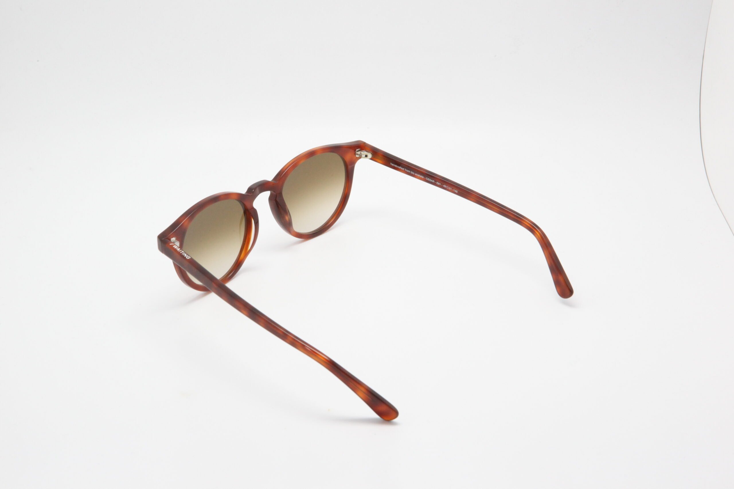 César E81 — Lunettes écaille blonde, verres dégradés Carl Zeiss