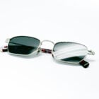 Paula E27 — Lunettes silver, verres verts Carl Zeiss