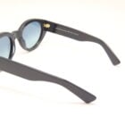 Fred E21 — Lunettes noires, verres dégradés bleu-vert Carl Zeiss
