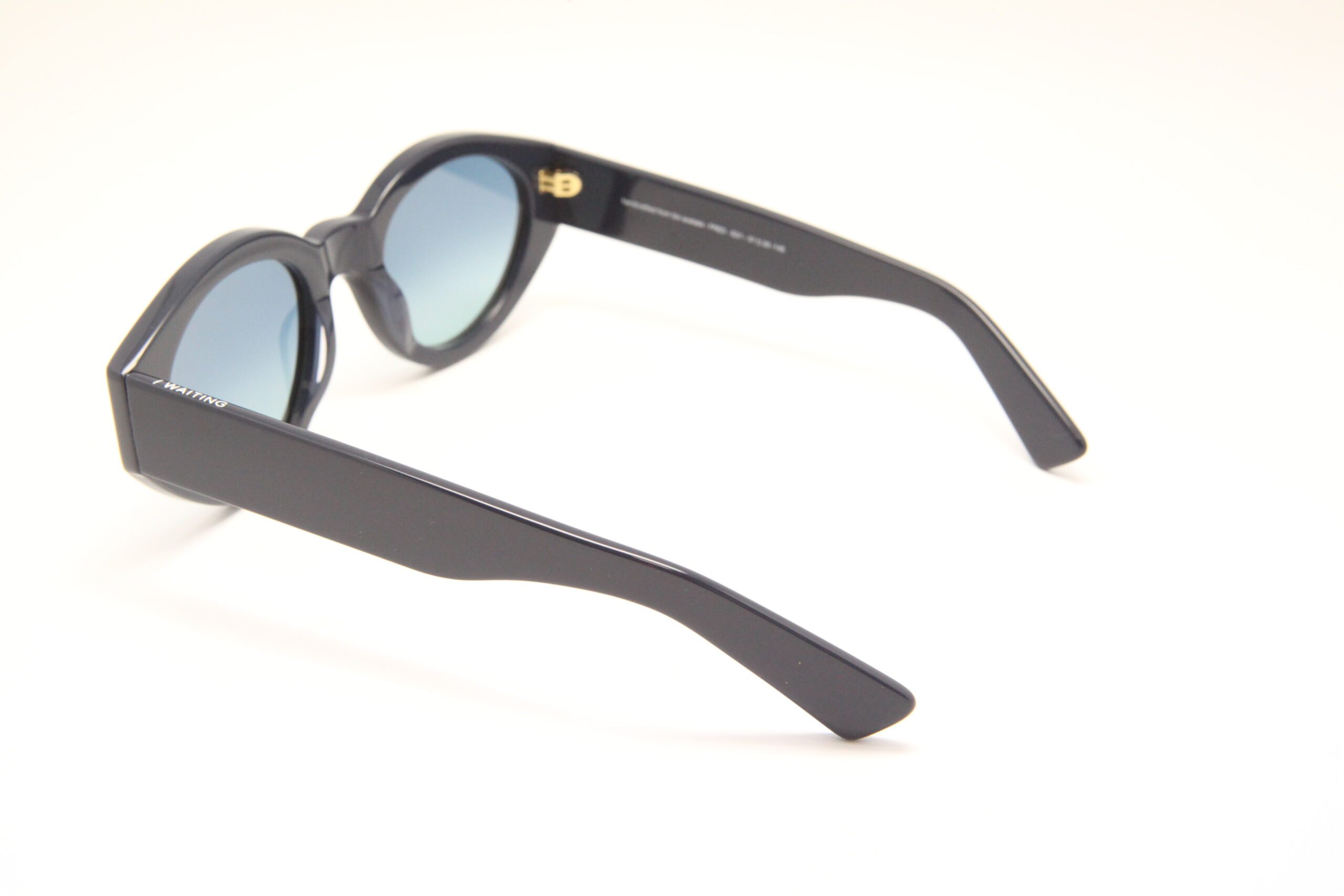 Fred E21 — Lunettes noires, verres dégradés bleu-vert Carl Zeiss